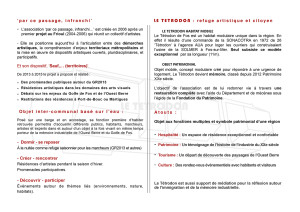 TEASER Tétrodon 1a.pages