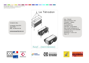 TEASER Tétrodon - copie